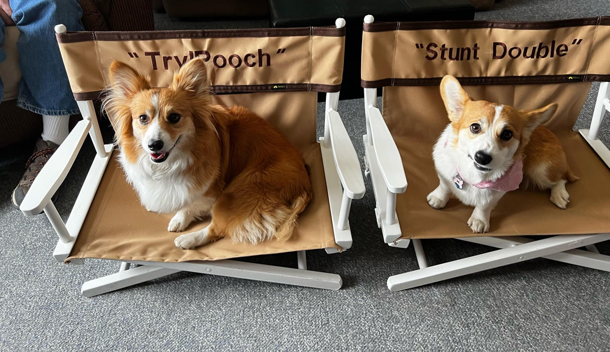 Pet Personalized Director's Chair - Matworks