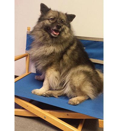 Pet Personalized Director's Chair - Matworks